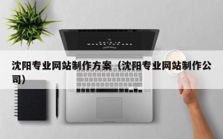 安陆沈阳专业网站制作方案（沈阳专业网站制作公司）